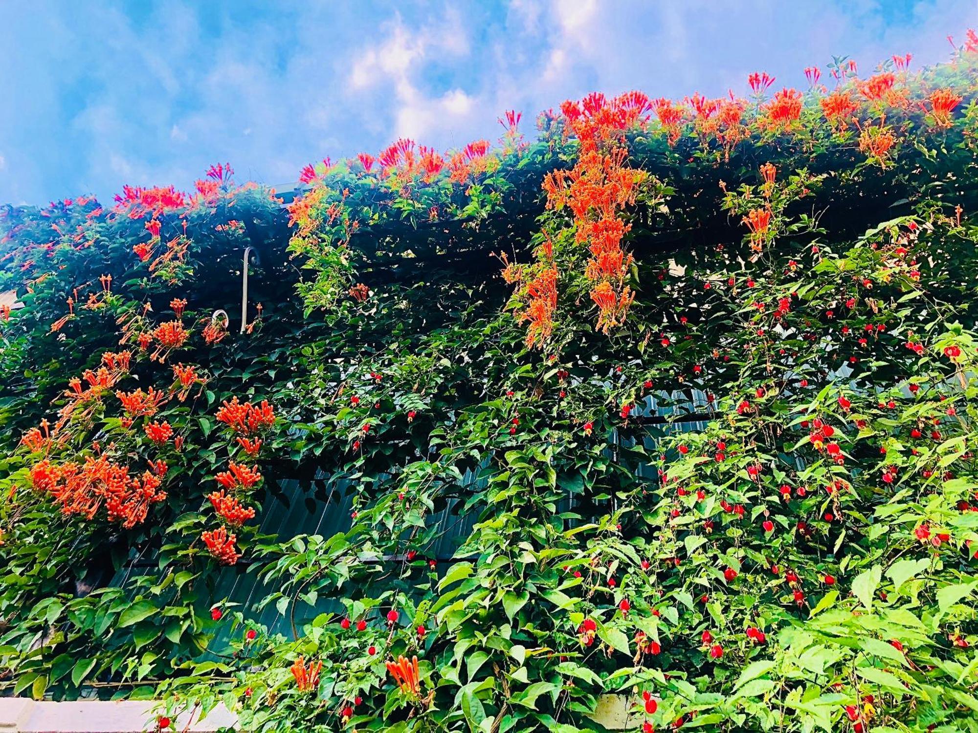 Hotel Hoa NáNg Bao Loc Exteriér fotografie