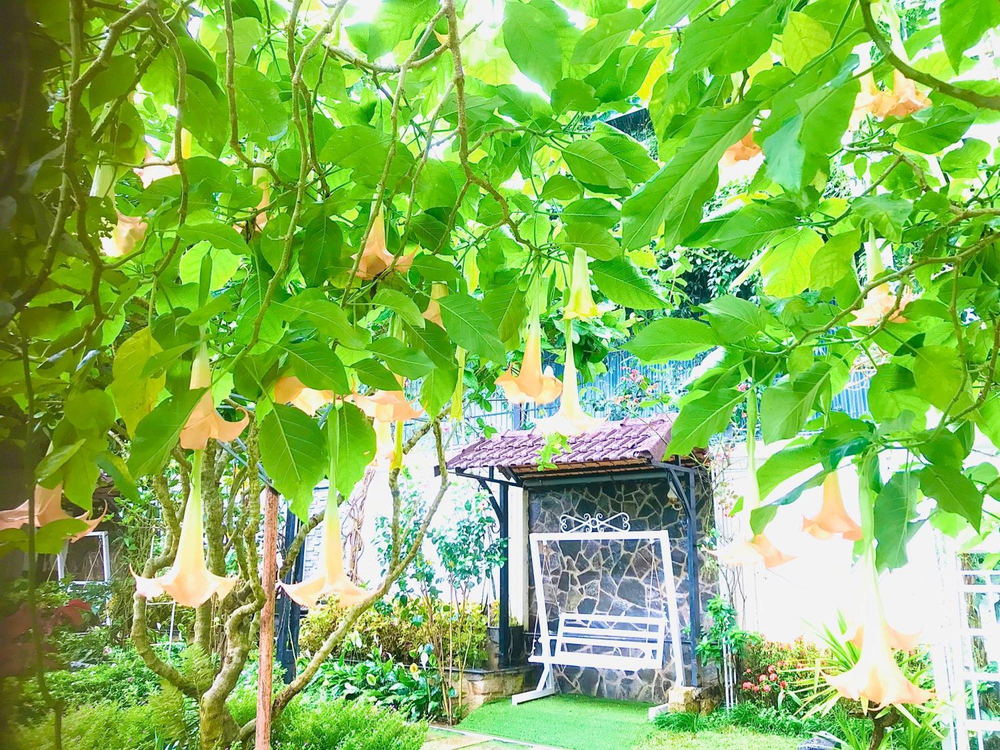 Hotel Hoa NáNg Bao Loc Exteriér fotografie