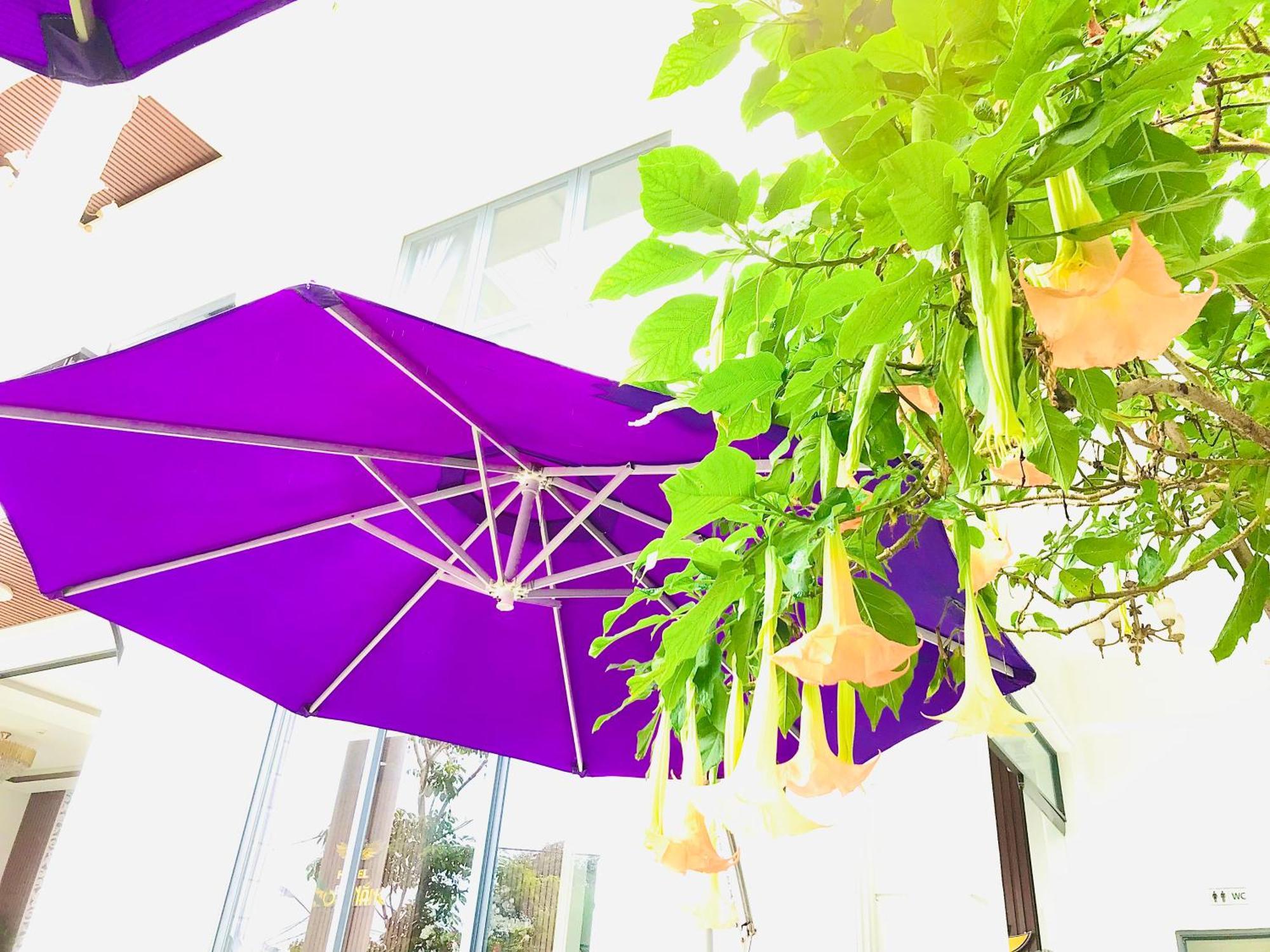Hotel Hoa NáNg Bao Loc Exteriér fotografie