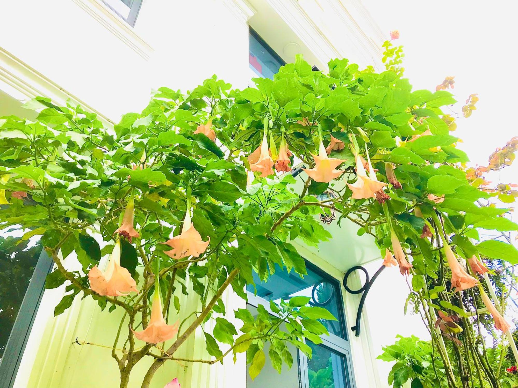 Hotel Hoa NáNg Bao Loc Exteriér fotografie