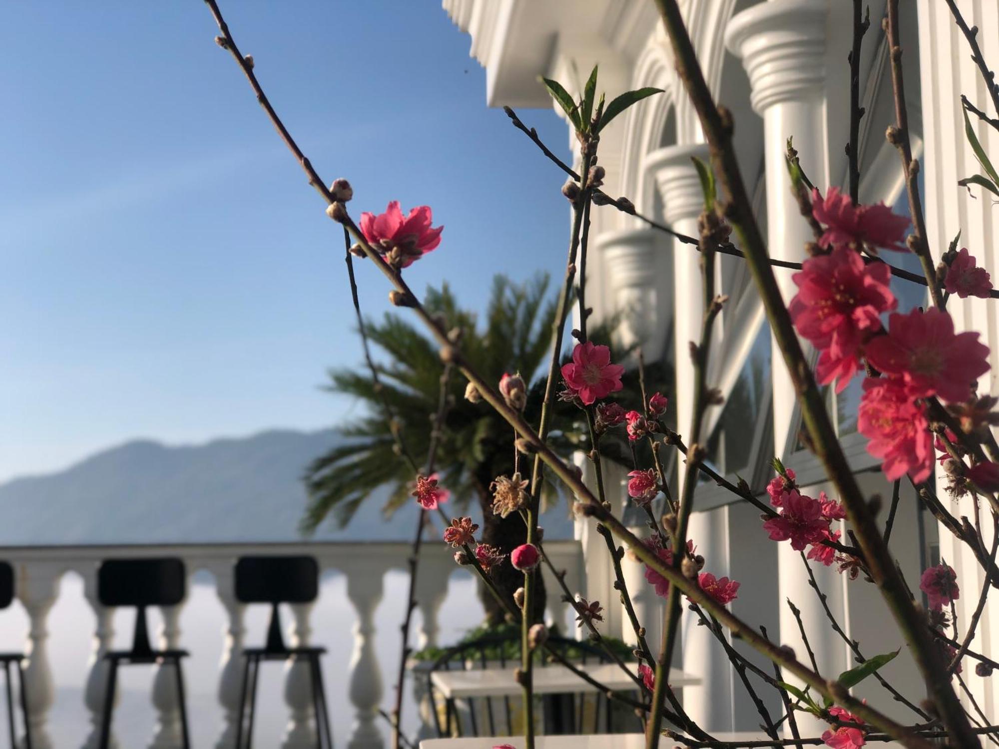 Hotel Hoa NáNg Bao Loc Exteriér fotografie