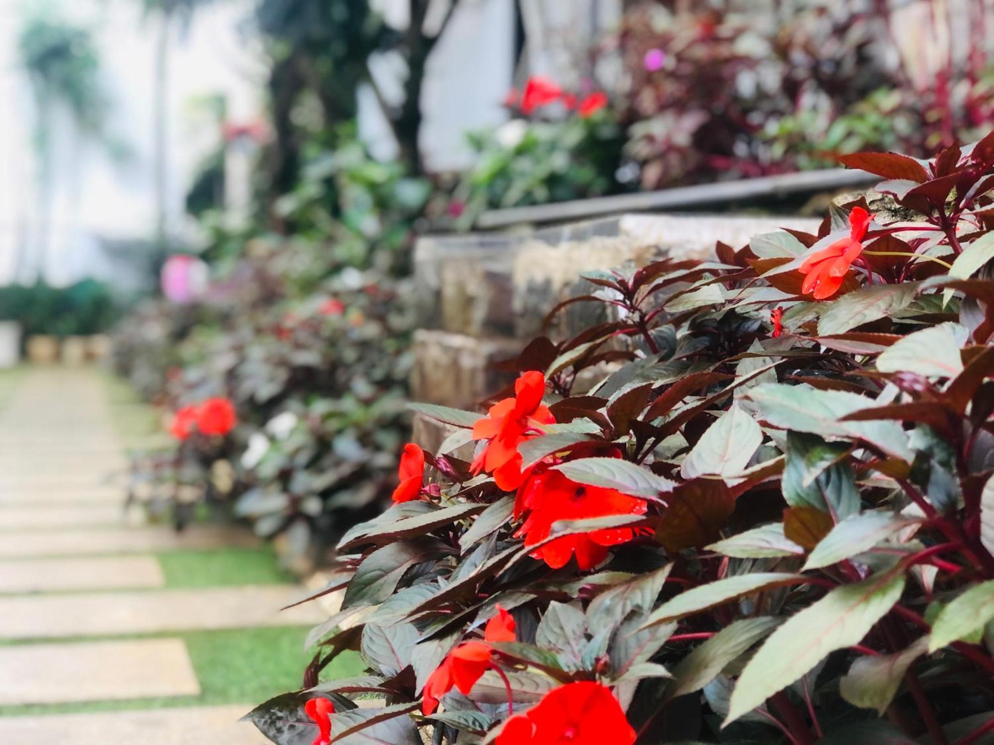 Hotel Hoa NáNg Bao Loc Exteriér fotografie