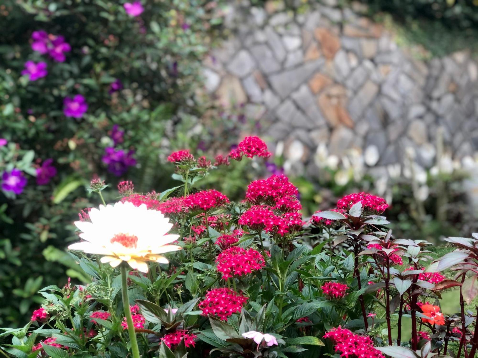 Hotel Hoa NáNg Bao Loc Exteriér fotografie